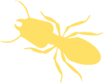 termite