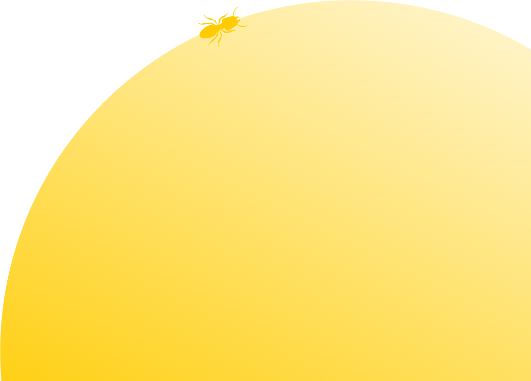 yellow circle and termite