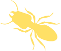 termite