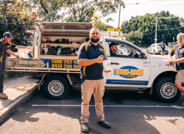Knockdown Termite Control