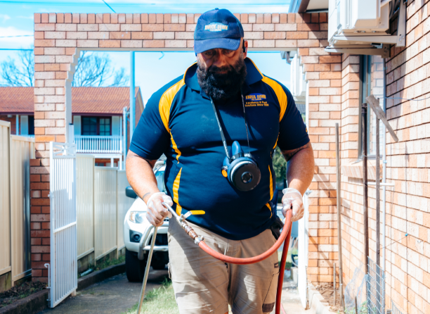 Knockdown Termite Control