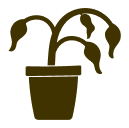 Knockdown Termite Control