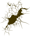 Knockdown Termite Control