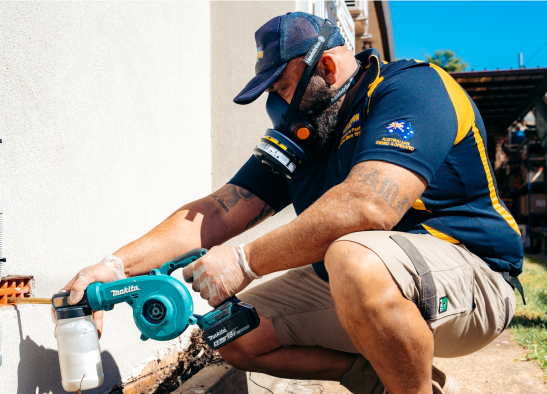 Knockdown Termite Control