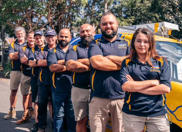 Knockdown Termite Control